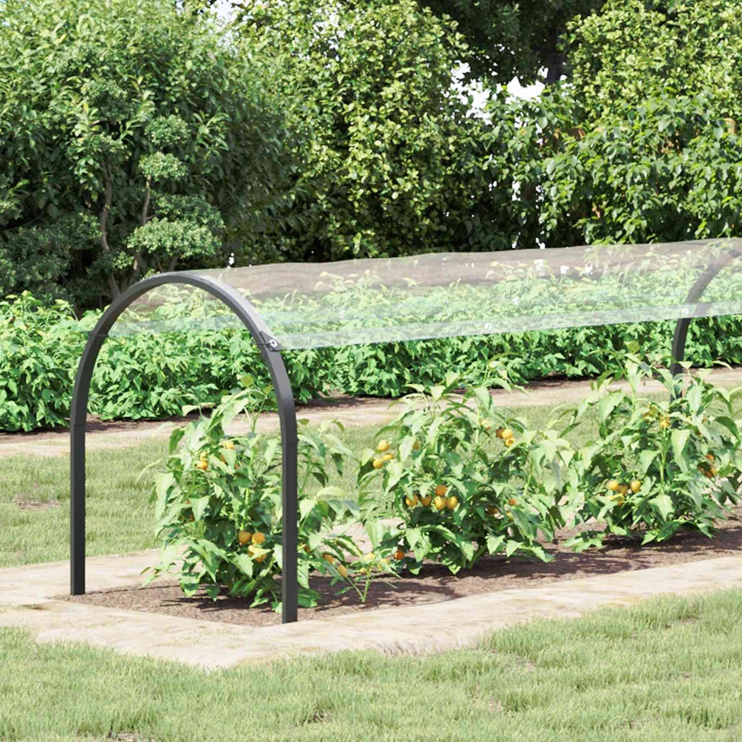 Plante Dekke Gjennomsiktig 20 x 1,5 m PVC