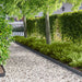 Gjerdekant 50 pcs 103 x 10 cm Stål Antrasitt