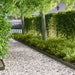 Gjerdekant 20 pcs 103 x 10 cm Stål Olivengrønn