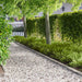 Gjerdekant 50 pcs 103 x 10 cm Stål Sølv