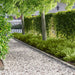 Gjerdekant 50 pcs 103 x 10 cm Stål Sølv