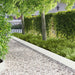 Gjerdekant 30 pcs 103 x 20 cm Stål Hvit