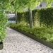 Gjerdekant 30 pcs 103 x 20 cm Stål Olivengrønn