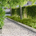 Gjerdekant 20 pcs 103 x 25 cm Stål Sølv