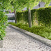 Gjerdekant 20 pcs 103 x 30 cm Stål Sølv
