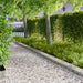 Gjerdekant 30 pcs 103 x 20 cm Stål Sølv