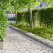 Gjerdekant 10 pcs 103 x 30 cm Stål Sølv
