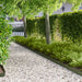 Gjerdekant 30 pcs 100 x 12 cm Stål Olivengrønn