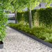 Gjerdekant 50 pcs 100 x 20 cm Stål Antrasitt