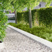 Gjerdekant 10 pcs 100 x 25 cm Stål Hvit