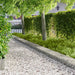 Gjerdekant 20 pcs 100 x 30 cm Stål Sølv