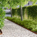Gjerdekant 20 pcs 102 x 4 x 4 cm Stål Rusten