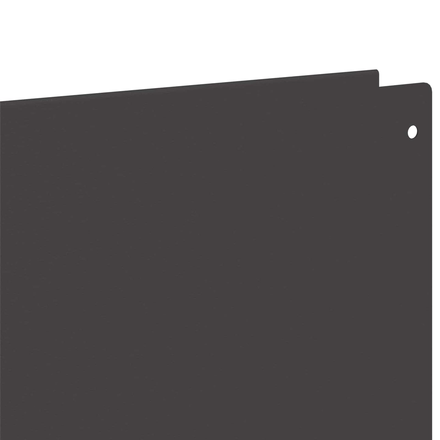Gjerdekant 10 pcs 100 x 12 cm Stål Svart