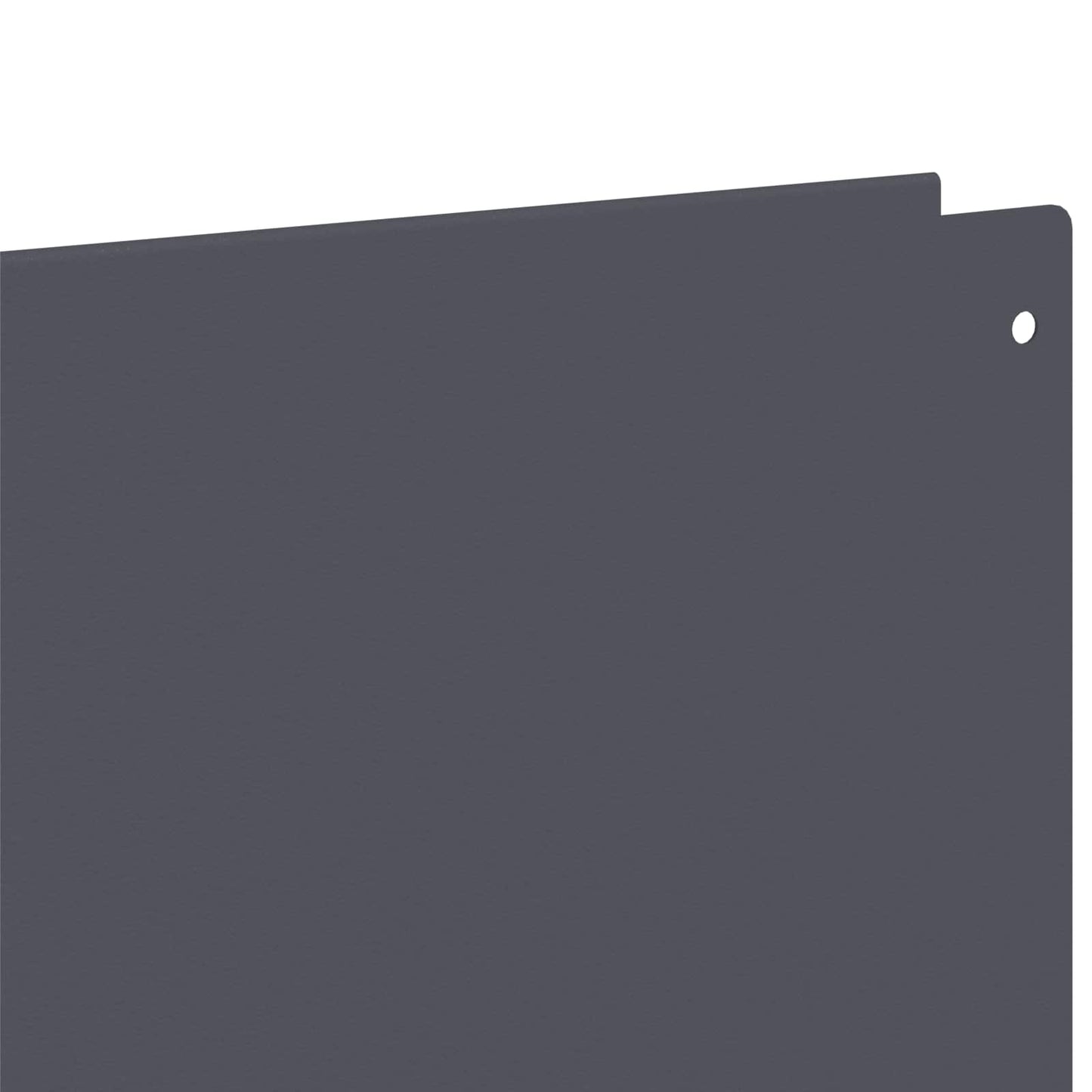 Gjerdekant 20 pcs 100 x 12 cm Stål Antrasitt