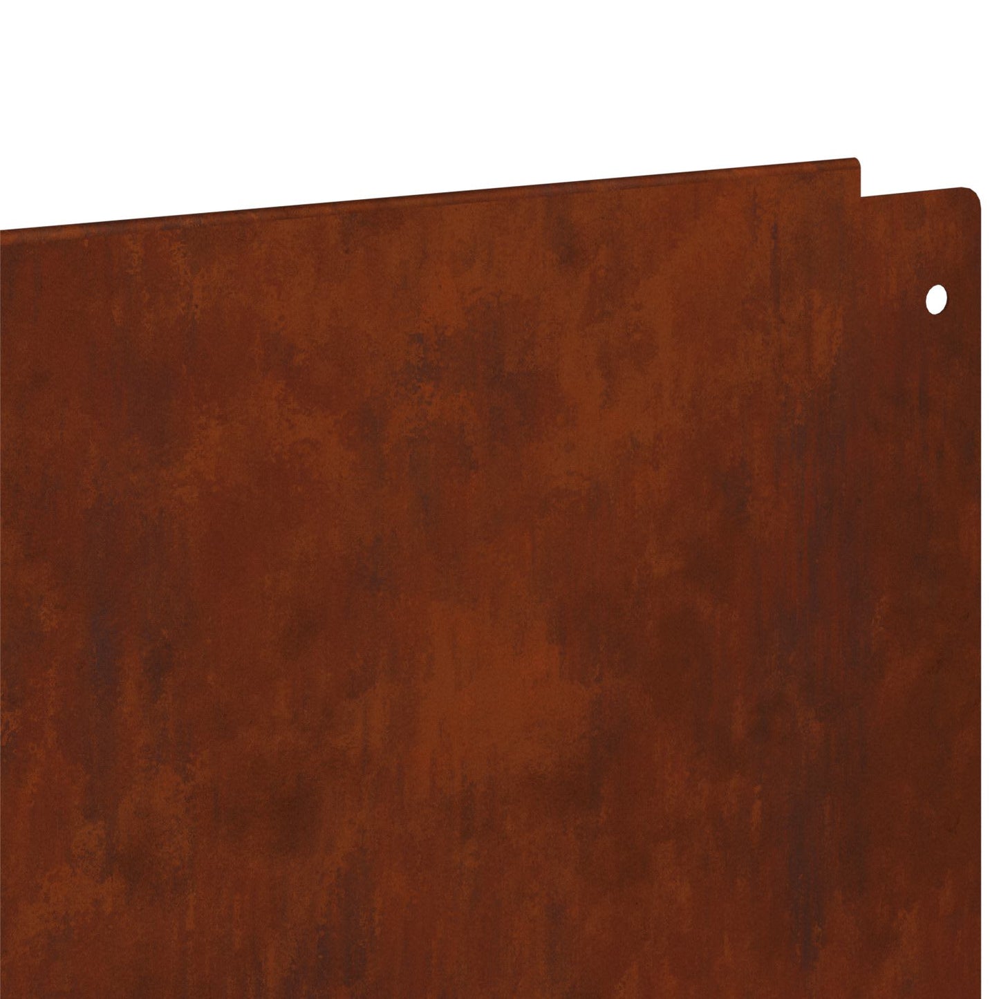 Gjerdekant 50 pcs 100 x 12 cm Stål Rusten