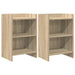Nattbord 2 pcs Sonoma eik 40 x 30 x 60 cm Konstruert tre