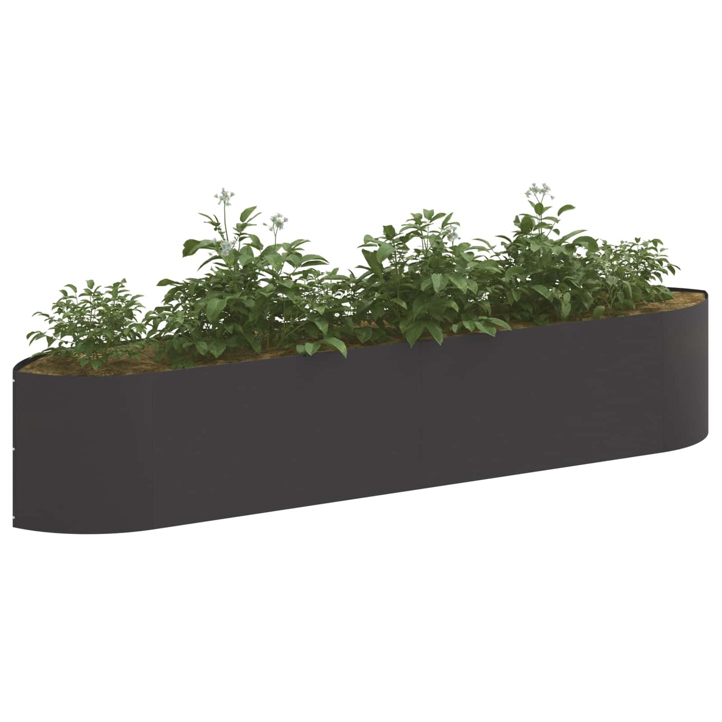 Hevet Hagebed Svart 220 x 40 x 40 cm Stål