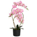 Kunstig orkidéplante med potte Rosa 45 x 15 x 65 cm