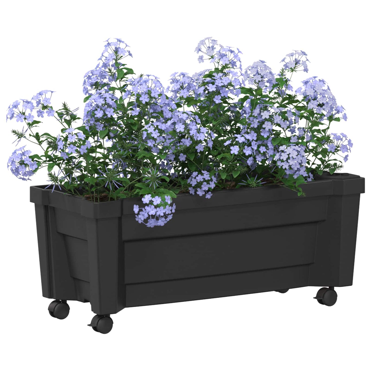 Calypso plante med hjul Antrasitt 79 x 35 x 33 cm PP