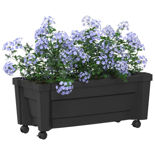 Calypso plante med hjul Antrasitt 79 x 35 x 33 cm PP