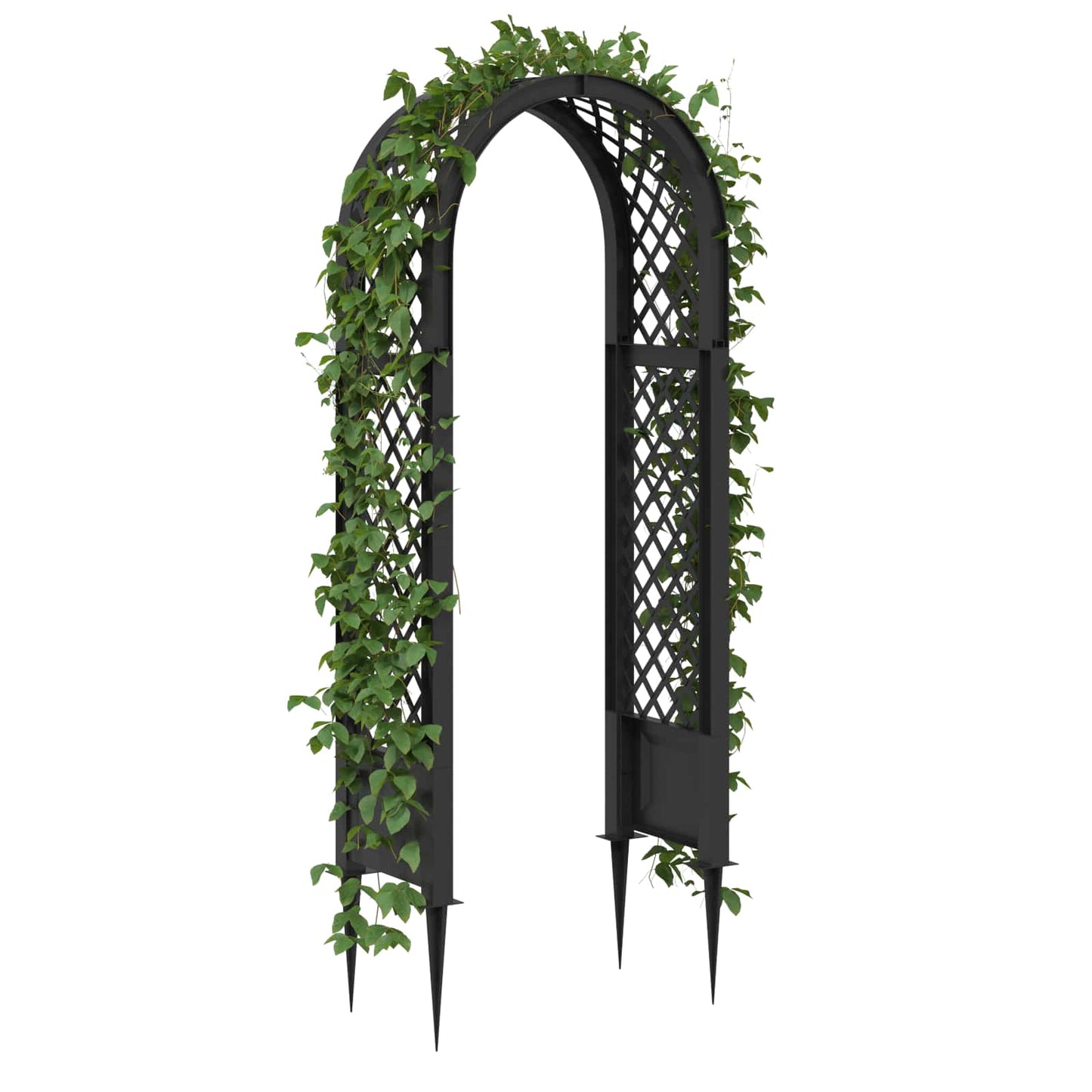 Rosbue med pigger Antrasitt 97 x 43 x 218 cm PP