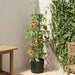 Tomatoppdretter Svart Ø 32 x 127 cm PP