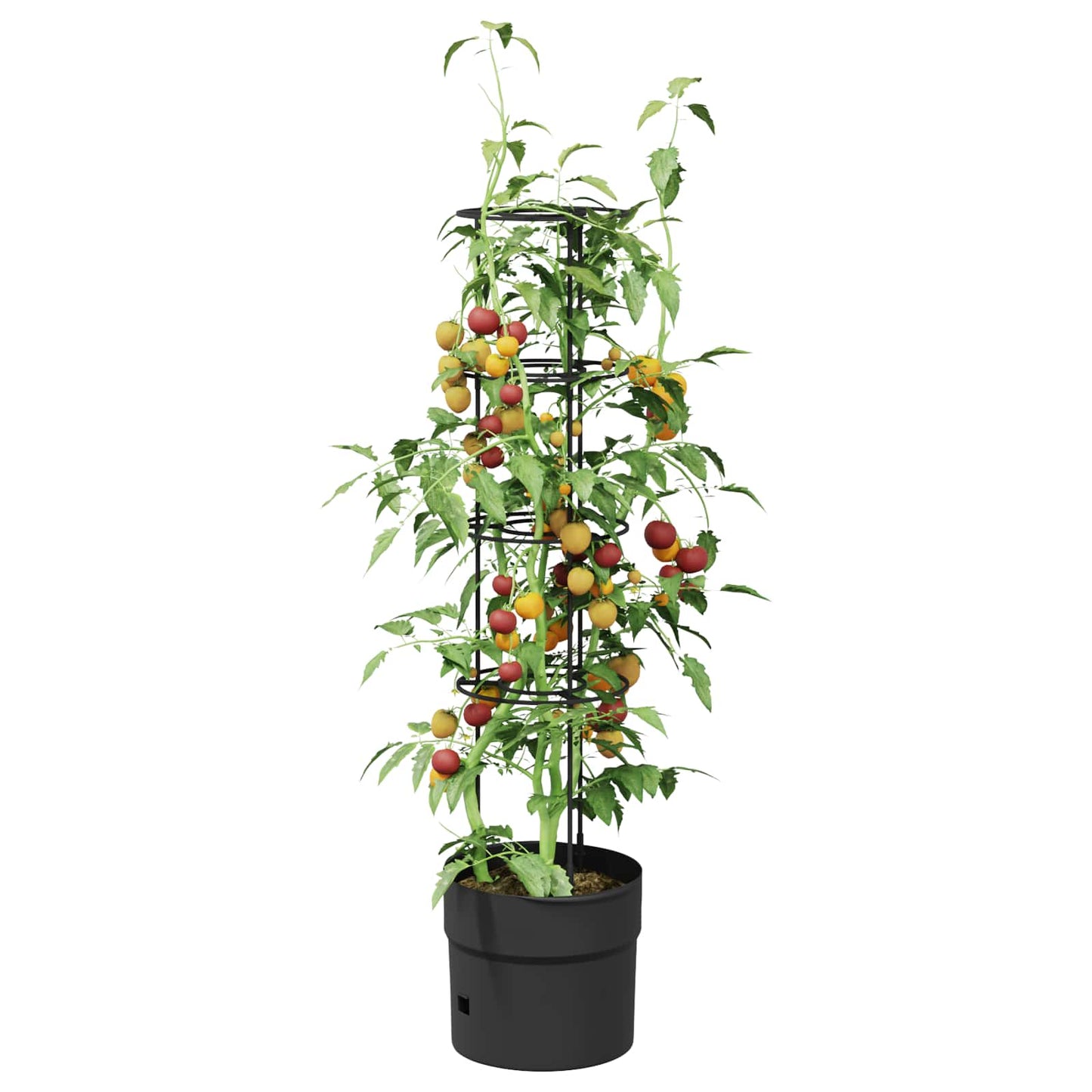 Tomatoppdretter Svart Ø 32 x 127 cm PP