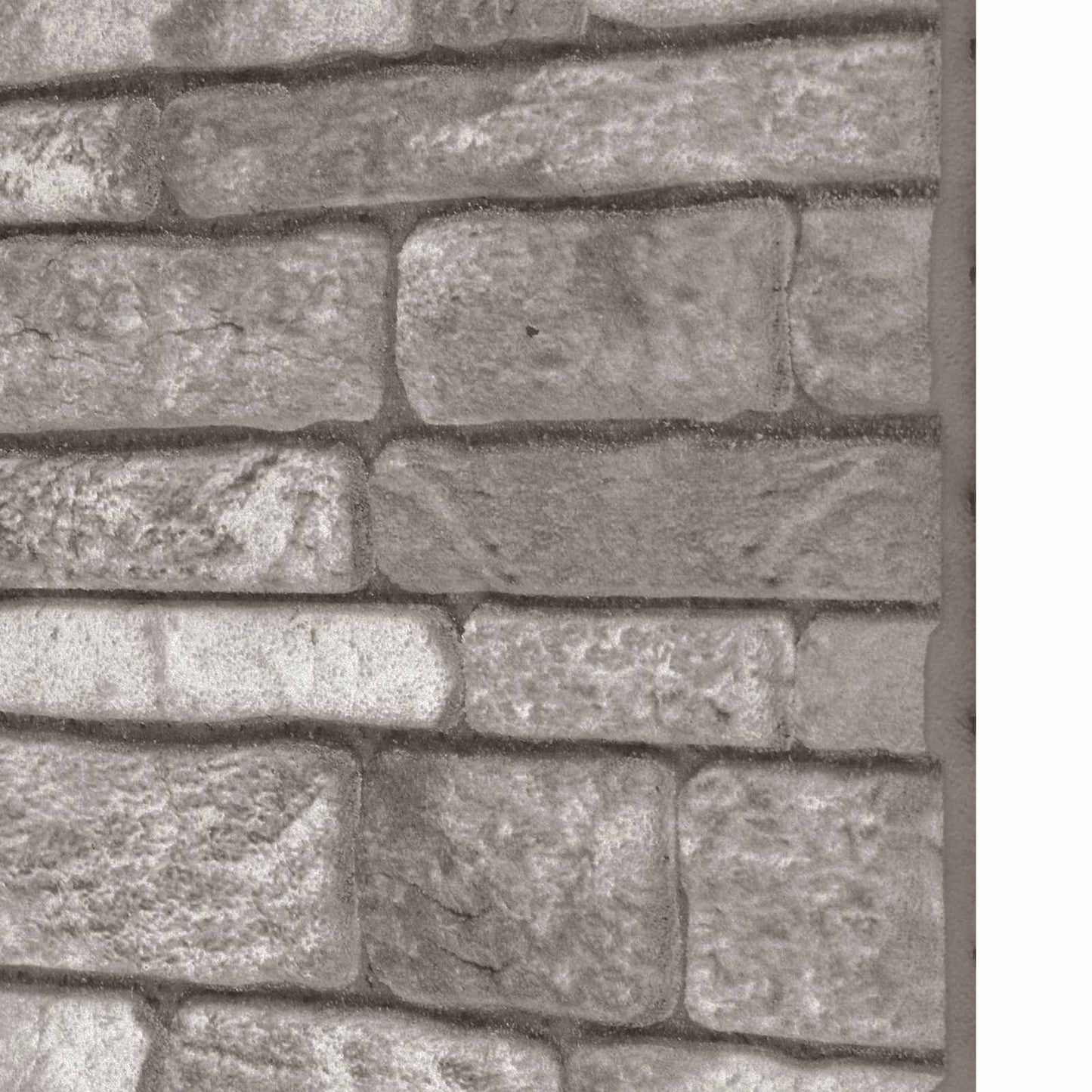 Veggpaneler 10 pcs Mørkegrå 100 x 50 cm EPS Skum