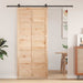 Låvedør Naturlig 90 x 2,5 x 208 cm Heltre furu