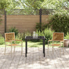 Hage stabelstoler 2 pcs Brun og Beige