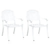 Hage Stol 2 pcs Hvit 55 x 56.5 x 91cm Aluminium