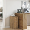 Apotekerskap artisan eik 20 x 45.5 x 60 cm Konstruert tre
