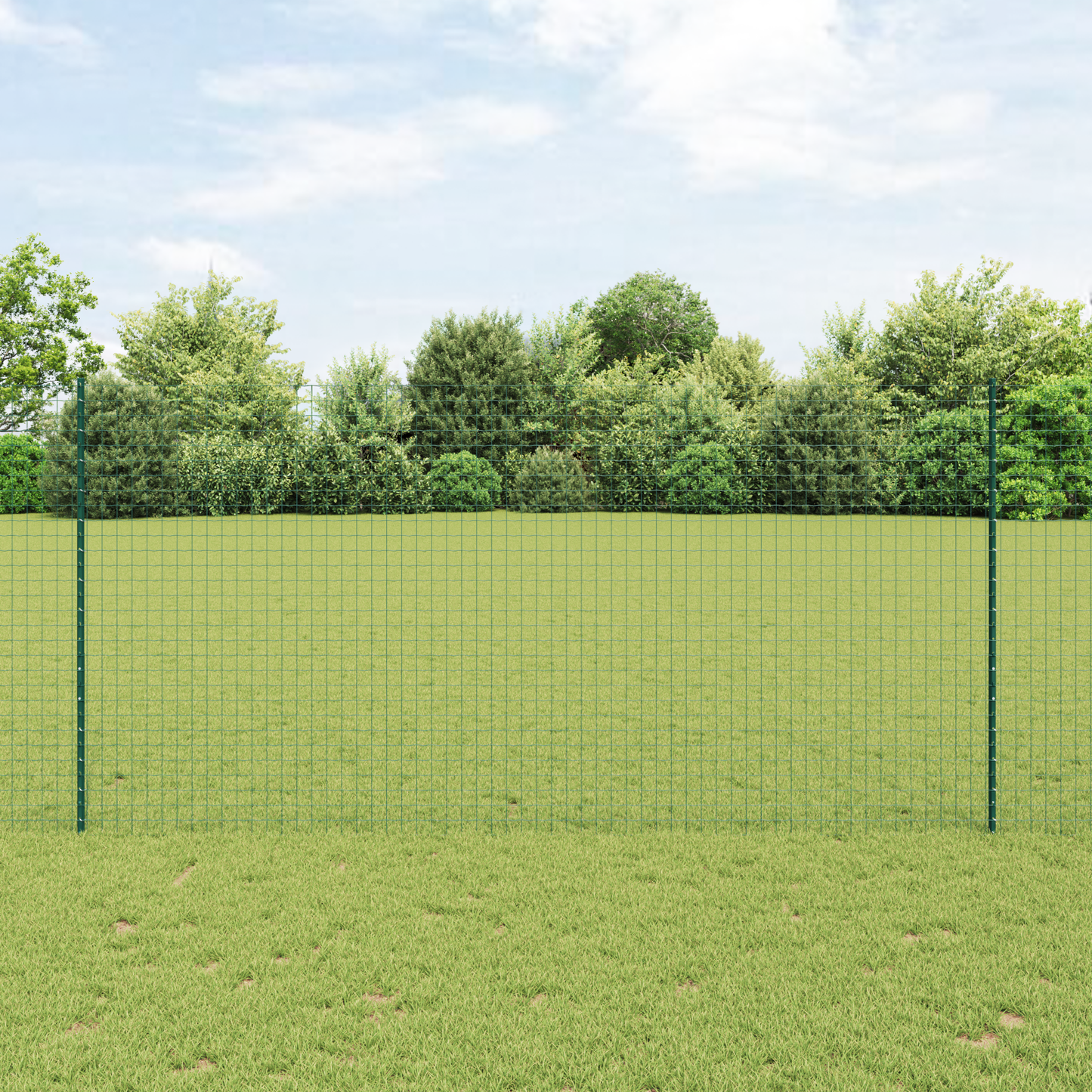 Euro gjerdet med stolpe 10 x 1,6 m PVC-belagt stål Grønn Mesh