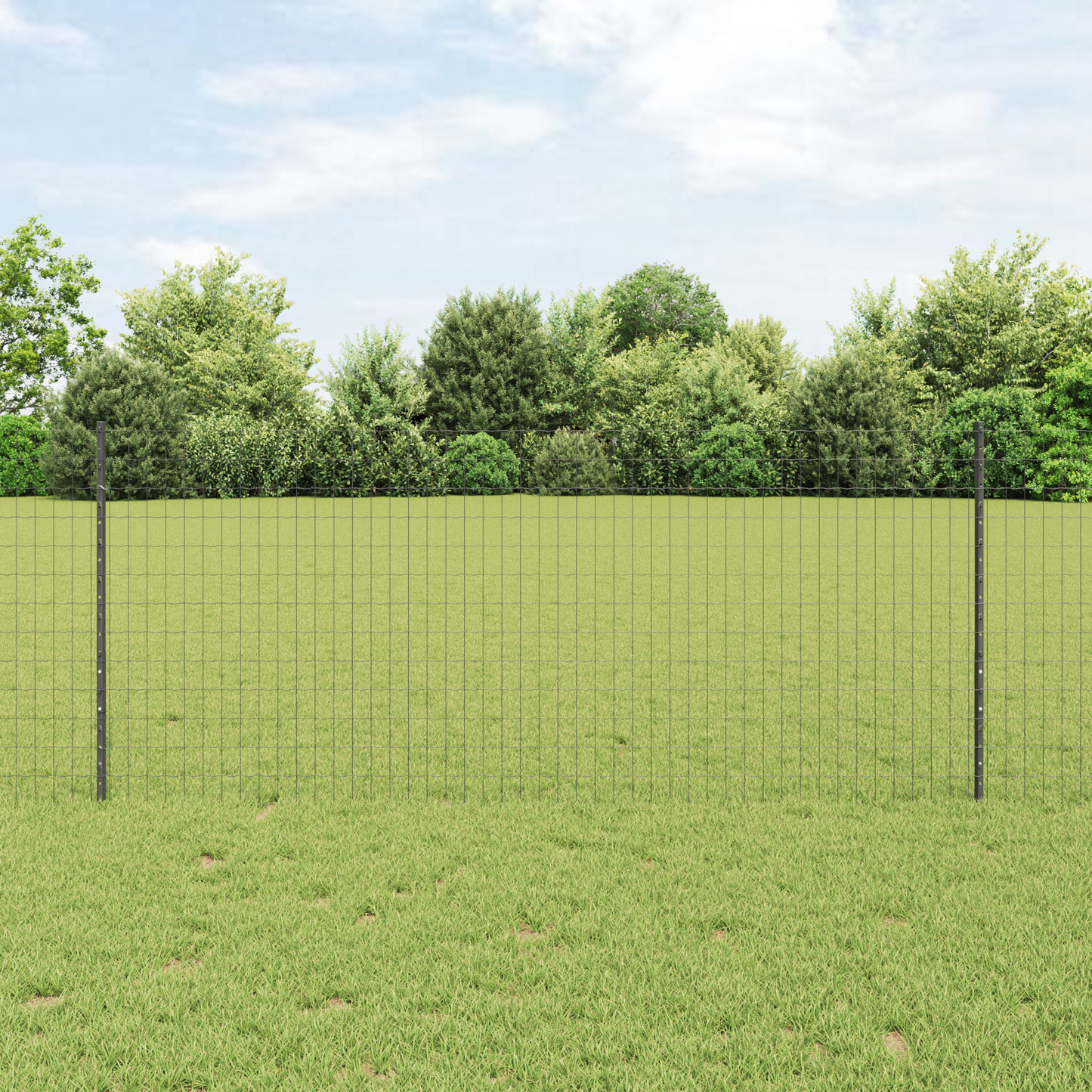 Euro gjerdet med stolpe 25 x 1 m PVC-belagt stål Grå Mesh