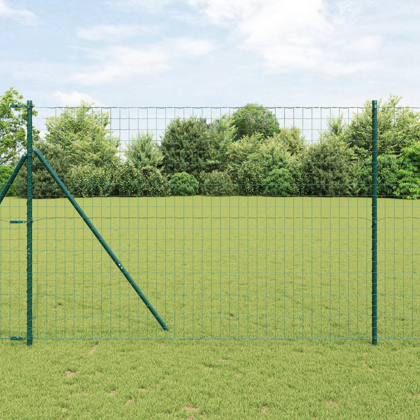 Euro Zaun Festemo 10 x 1,6 m PVC-belagt stål Grønn Mesh