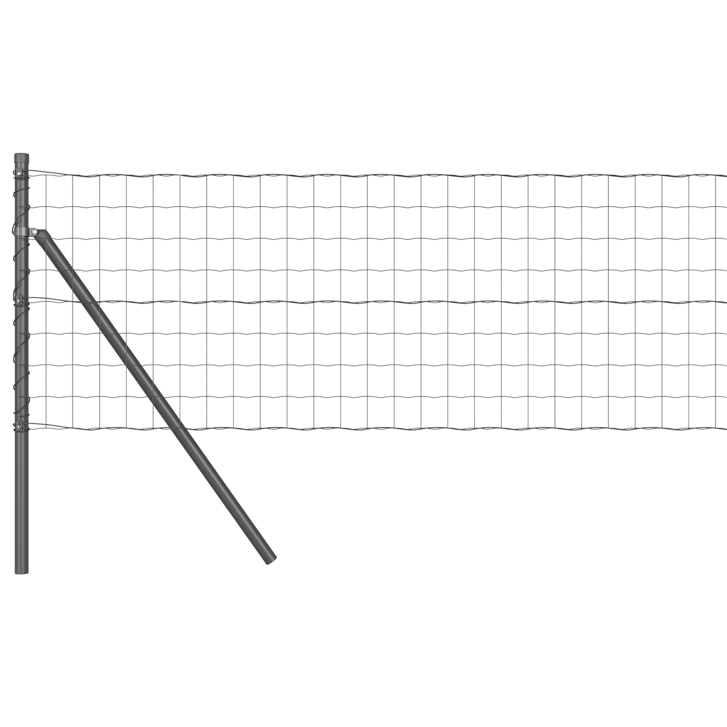Euro Zaun Festemo 10 x 0,6 m PVC-belagt stål Grå Mesh