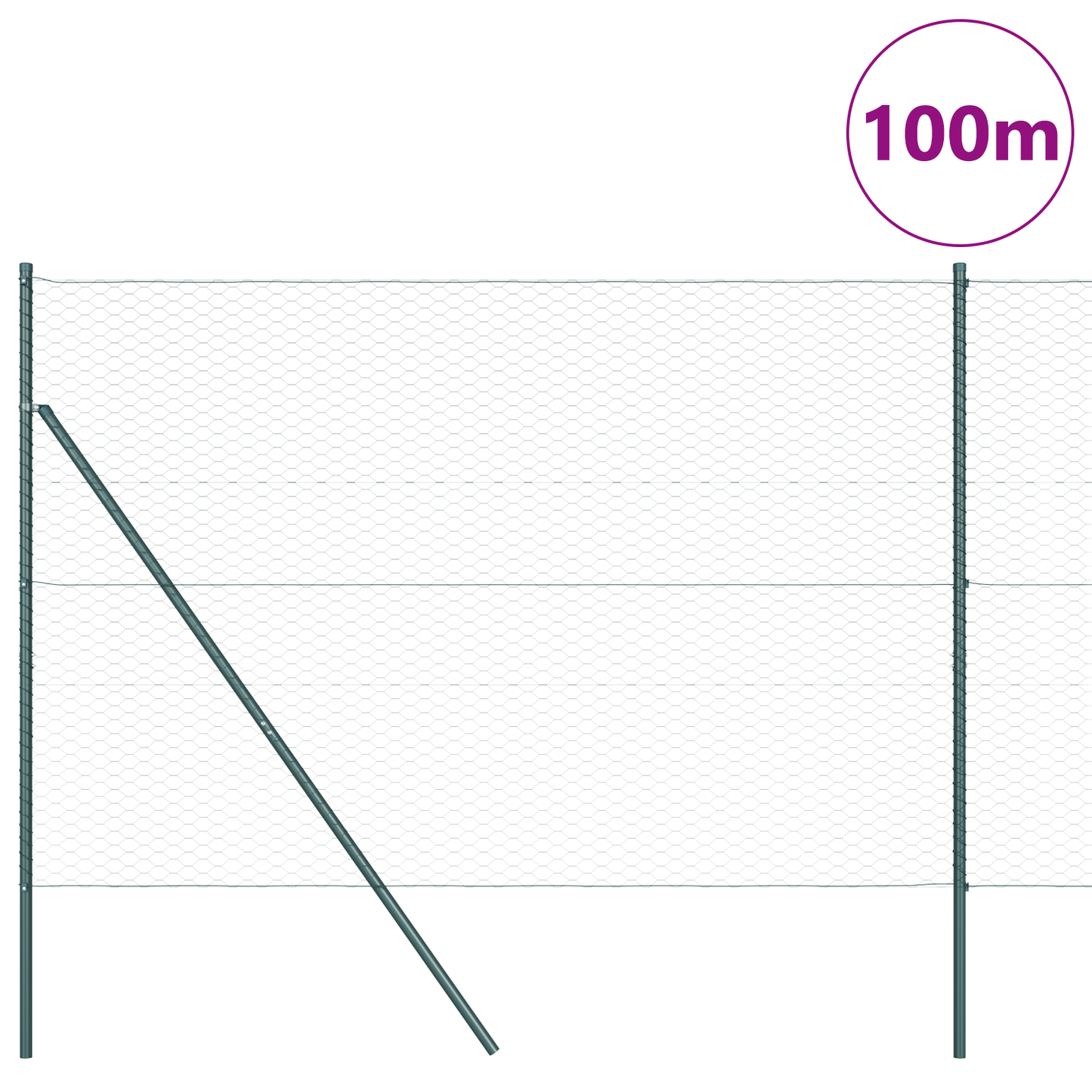 Sekskantet gjerde grunstift 100 x 1,6 m PVC-belagt stål Grønn