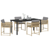 Hage Spisegruppe 5 pcs Beige polyrotting