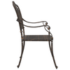 Hage Stol 2 pcs Bronse 55 x 56.5 x 91cm Aluminium