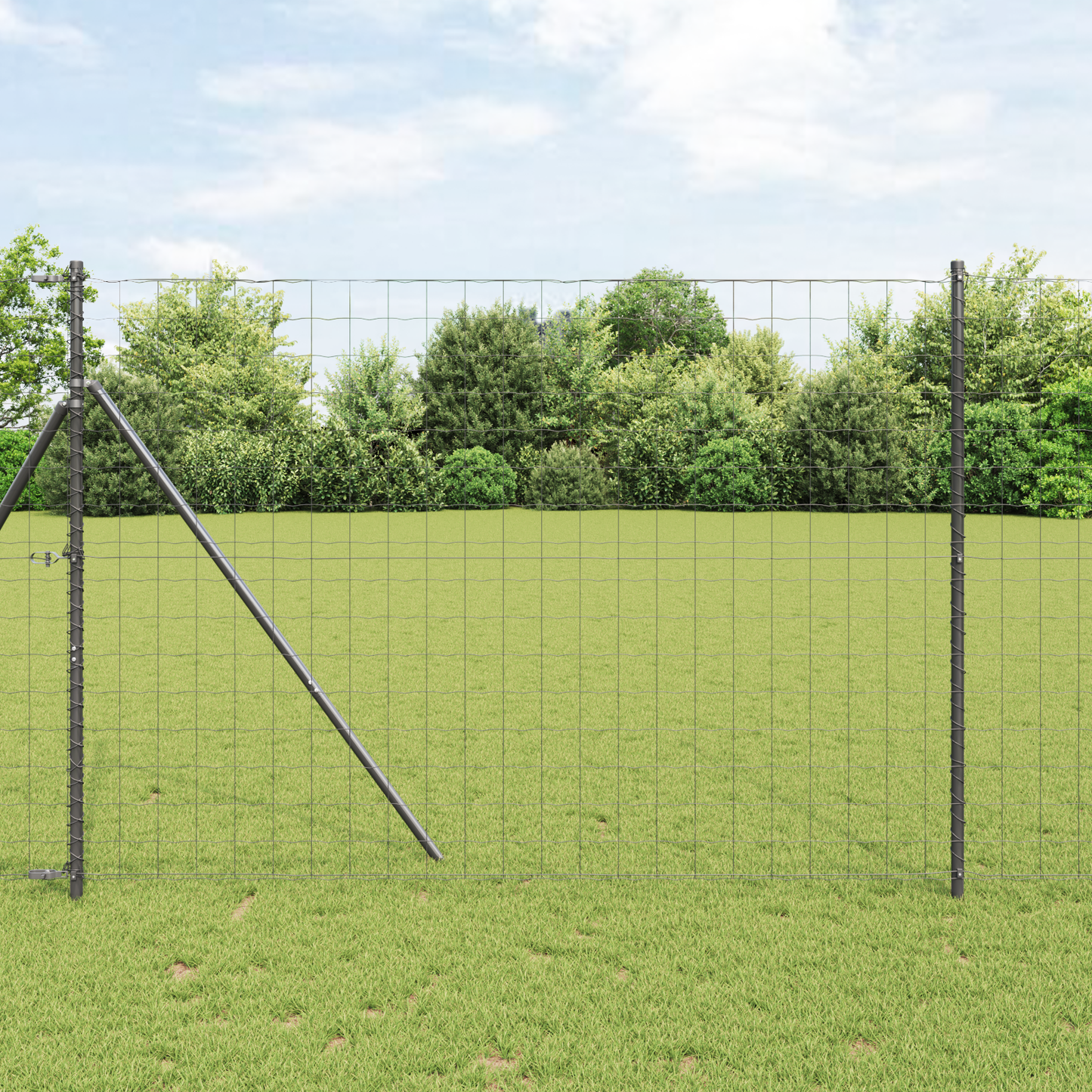 Euro gjerde Grå 1,6 x 10 m PVC-belagt jern