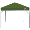 Pop-up markise telt grønn 250 x 250 cm stoff