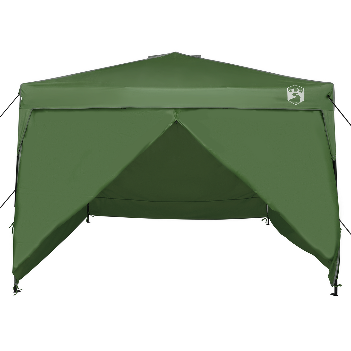 Canopy telt grønn 290 x 290 x 251 cm stoff