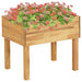 Hevet plantekasse 50x40x45 cm heltre akasie
