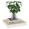 Flytende vegghylle eik og hvit 23x23,5x3,8 cm MDF
