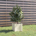 Plantekasse hvit 31x31x31 cm heltre furu