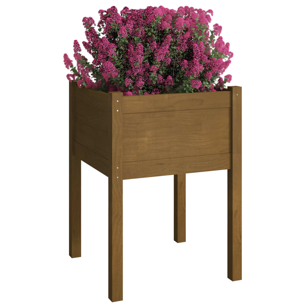 Plantekasser 2 stk honningbrun 50x50x70 cm heltre furu