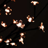 LED-tre kirsebærblomst varmhvit 672 lysdioder 400 cm