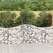 Gabionkurver buede 15 stk 200x50x80/100 cm galvanisert jern