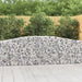 Gabionkurver buede 2 stk 400x30x80/100 cm galvanisert jern