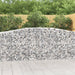 Gabionkurver buede 20 stk 400x50x100/120 cm galvanisert jern